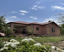 Kirayə (günlük) Həyət evi/villa Quba ş.