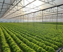 Satılır Obyekt Xəzər r.