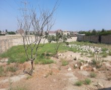 rayonlarda torpaq alqi satqisi Abşeron r.