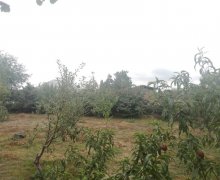 qubada torpaq satilir Quba ş.