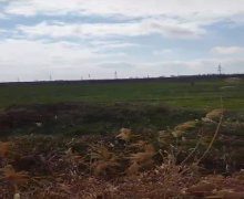 xacmazda torpaq alqi satqisi Xaçmaz ş.