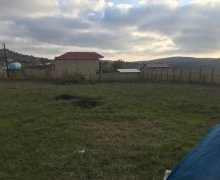 elanlari alqi satqisi elanlari Şamaxı ş.