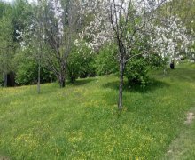 Satılır Torpaq Qəbələ ş.