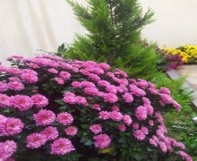 kend ehmedlide heyet evlerinin satisi/villa Əhmədli, Xətai r.