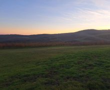 ismayillida torpaq alqi satqisi İsmayıllı ş.