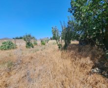 rayonlarda torpaq alqi satqisi Goradil, Abşeron r.