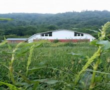 lerik günlük istirahet merkezleri/villa Lerik ş.