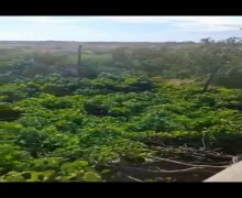 qurd deresi torpaq alqi satqisi Sumqayıt ş.