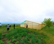 Satılır Obyekt Şamaxı ş.