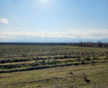 Satılır Torpaq Buzovna, Xəzər r.