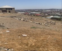 rayonlarda torpaq alqi satqisi Hökməli, Abşeron r.