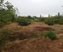 xacmazda torpaq alqi satqisi Xaçmaz ş.