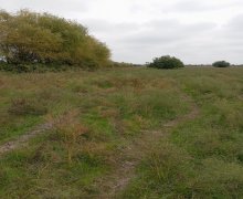 elanlari alqi satqisi elanlari Kürdəmir ş.