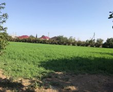 Satılır Həyət evi/villa Biləsuvar ş.