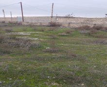 Satılır Torpaq Türkan, Xəzər r.