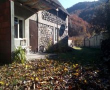 Kirayə (günlük) Həyət evi/villa Zaqatala ş.