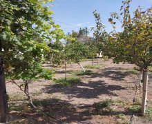 bag evleri proyektleri Dübəndi, Xəzər r.