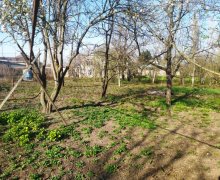 xacmazda torpaq alqi satqisi Xaçmaz ş.