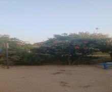 Продажа Участок пос. Маштага, Сабунчу р.