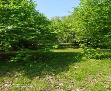 Satılır Bağ evi Oğuz ş.