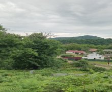 Satılır Torpaq Qəbələ ş.