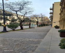 Arenda aylıq obyekt Sahil m., Nəsimi r.