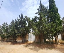 bag evleri proyektleri Sabunçu qəs., Sabunçu r.