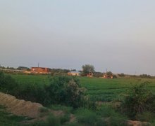 elanlari alqi satqisi elanlari Sabirabad ş.