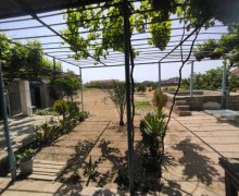 Satılır Həyət evi/villa Türkan, Xəzər r.