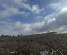 Satılır Torpaq Şamaxı ş. Satılır Torpaq Şamaxı ş.