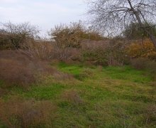 kreditle torpaq alqi satqis Azadlıq m., Binəqədi qəs., Binəqədi r.