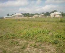 elanlari alqi satqisi elanlari Xaçmaz / Nabran ş.