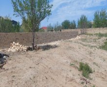 novxanida torpaq satilir Novxanı, Abşeron r.