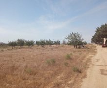 mastagada torpaq alqi satqisi Koroğlu m., Maştağa qəs., Sabunçu r.