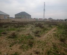 masalli Torpaq Masallı ş.