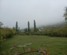 Satılır Torpaq Şamaxı ş. Satılır Torpaq Şamaxı ş.
