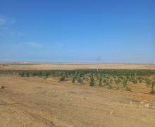 rayonlarda torpaq alqi satqisi Pereküşkül, Abşeron r.