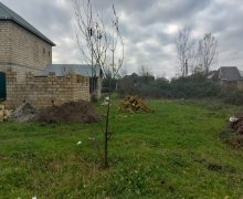 elanlari alqi satqisi elanlari Lənkəran ş.