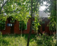 Kirayə (günlük) Bağ evi Qəbələ ş.