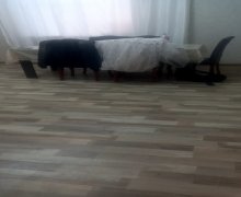 Kirayə (aylıq) Ofis Xırdalan ş.