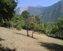 elanlari alqi satqisi elanlari Şəki ş.