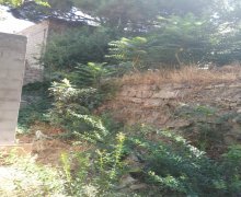 Satılır Torpaq Badamdar qəs., Səbail r.