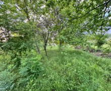 ismayillida torpaq alqi satqisi İsmayıllı ş.