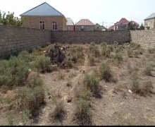 rayonlarda torpaq alqi satqisi Abşeron r.