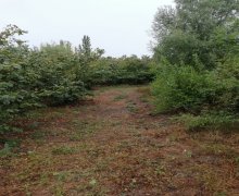 xacmazda torpaq alqi satqisi Xaçmaz ş.