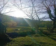 Satılır Torpaq Qəbələ ş.