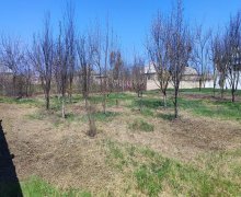 Satılır Torpaq Xaçmaz ş.