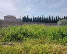 qurd deresi torpaq alqi satqisi Sumqayıt ş.