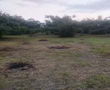 elanlari alqi satqisi elanlari Oğuz ş.