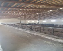 Satılır Obyekt Binə qəs., Xəzər r.